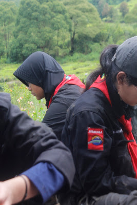 _MG_2740.JPG