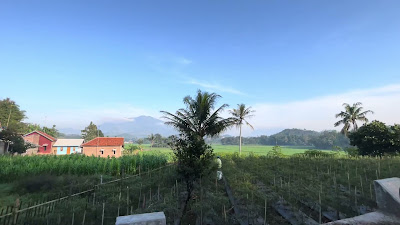 IMG_0614.MOV