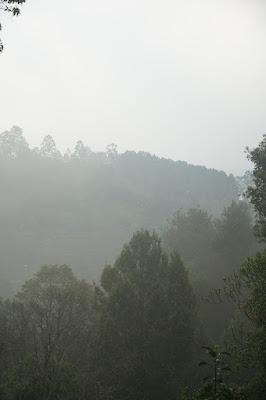 LDK00674.JPG