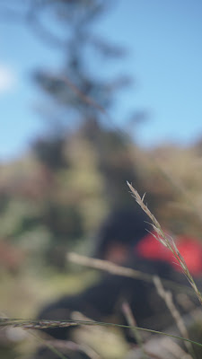 DSC03817.JPG