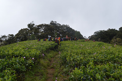 DSC_0319.JPG