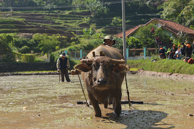 DSC_0125.JPG