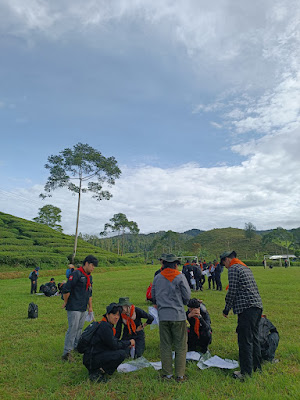 IMG_20241215_073051.jpg