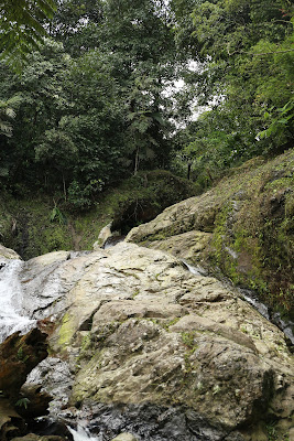 333A8547.JPG