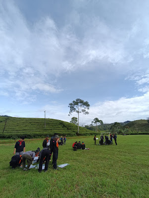 IMG_20241215_073122.jpg