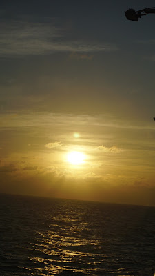 DSC02820.JPG