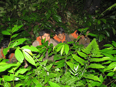 IMG_4522.jpg