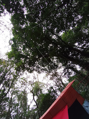 IMG_20240118_173710.jpg