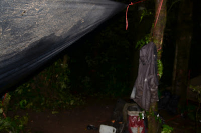 DSC_0520.JPG