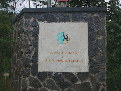 CIMG0769.JPG