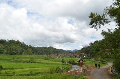 DSC_1210.JPG