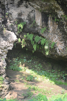 DSC_4538.JPG