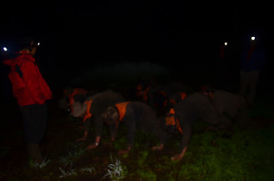 DSC_0350.JPG