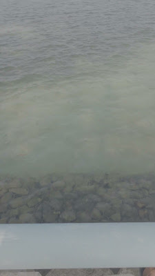 20260816_160220.mp4