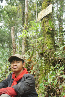 LDK00670.JPG