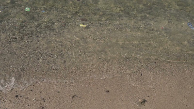 C0041.MP4