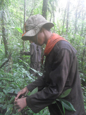 SAM_0063.JPG
