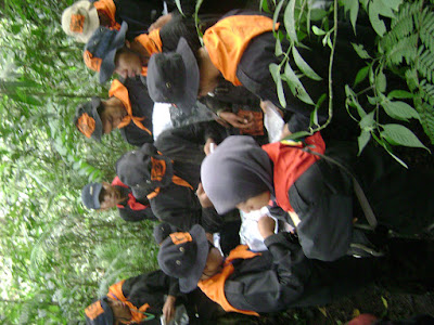DSC07997.JPG