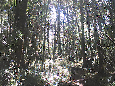 Ciremai, 20-23 September 2003 1 - 048.jpg