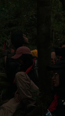 DSC03530.JPG