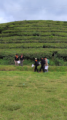 IMG_20241215_082129.jpg