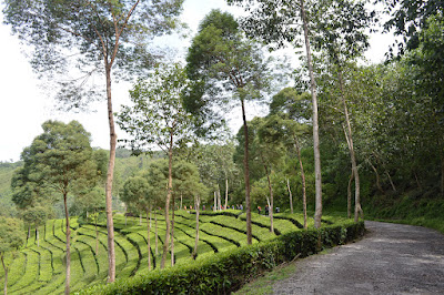 DSC_0128.JPG