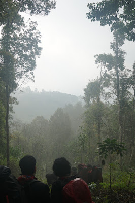 LDK00672.JPG