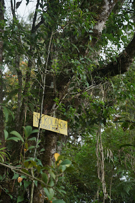 LDK00589.JPG