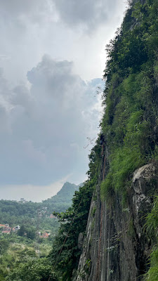 IMG_9476.HEIC