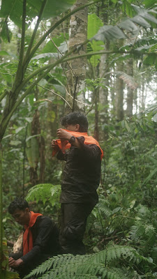 DSC00074.JPG