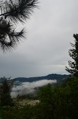 DSC_0393.JPG