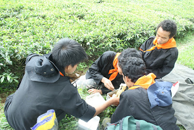IMG_9747.JPG