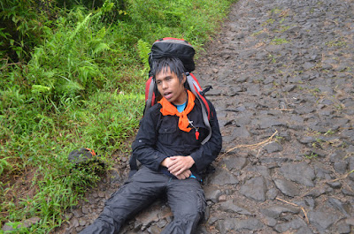 DSC_0400.JPG