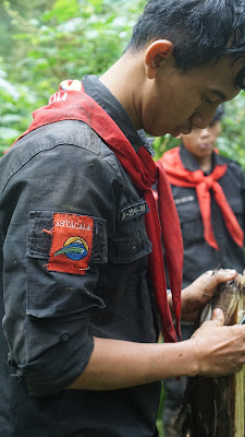 DSC00534.JPG