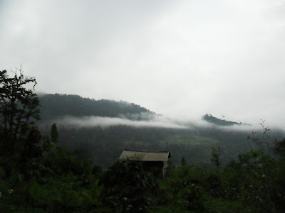 SAM_0771.JPG