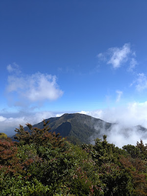 RA_20250723_092034_lmc_8.4.jpg