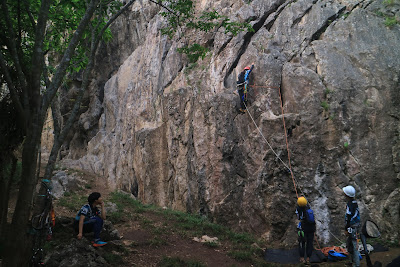 IMG_0730.CR2