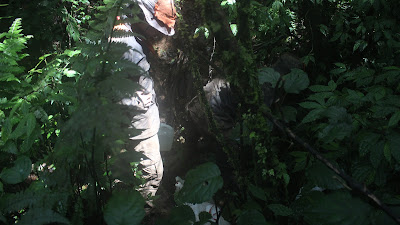 IMG_3865.JPG