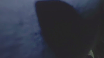 20260814_185507.mp4