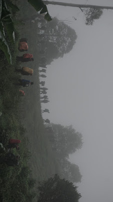 DSC08892.JPG