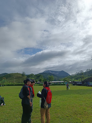 IMG_20241215_074504.jpg