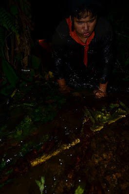 DSC_0373.JPG