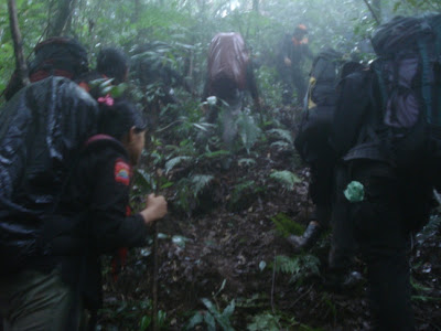DSC02446.JPG