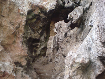 DSC00098.jpg