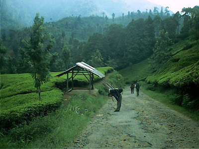 Survey PenDas KF Gunung Hutan - 059.jpg