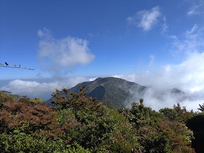 RA_20250723_092028_lmc_8.4.jpg