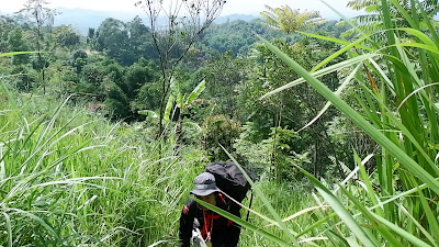DSCF6463.MOV