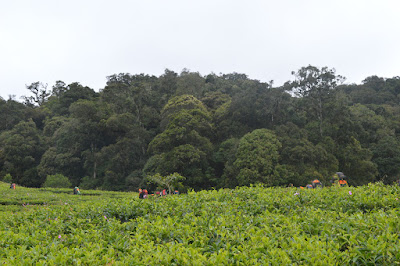 DSC_0292.JPG