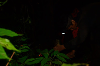 DSC_0215.JPG