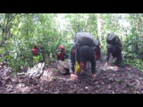 GOPR2595.THM